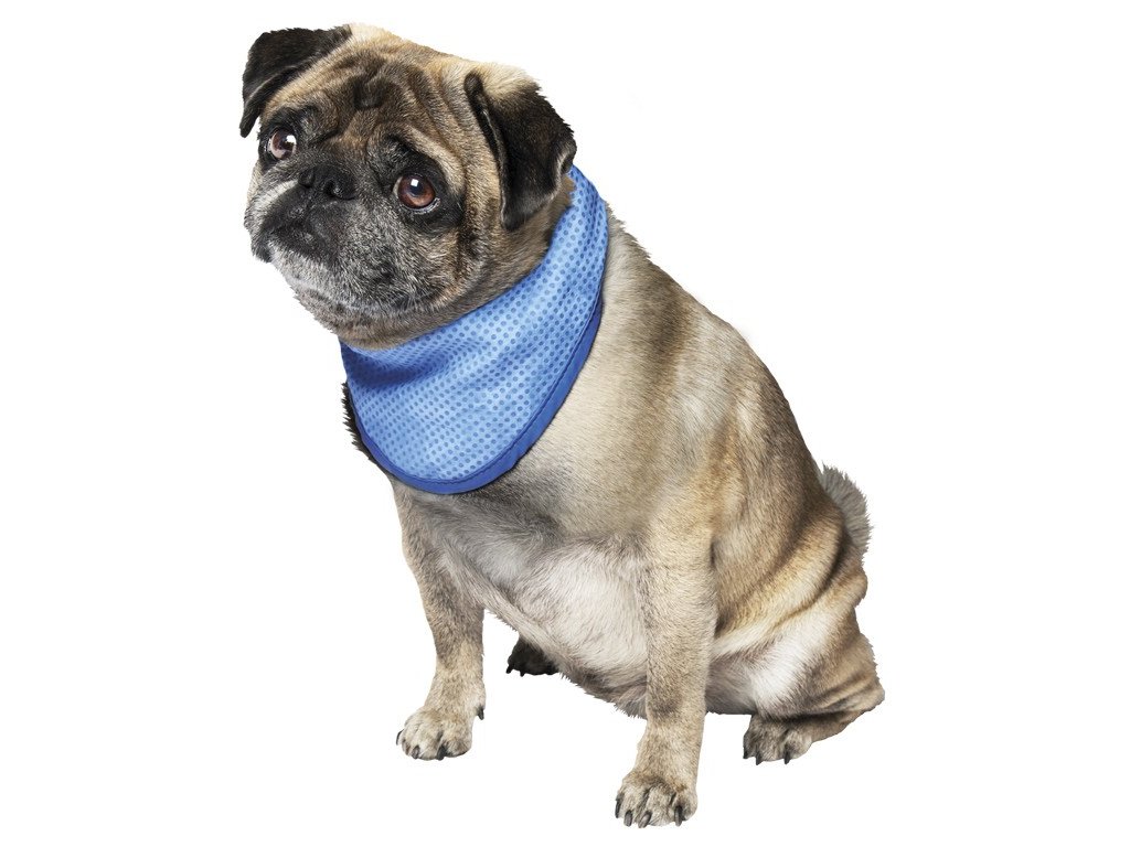 13662 2 nobby chladici satek m pro psa 30 43cm z kategorie chovatelske potreby a krmiva pro psy oblecky a doplnky pro psy chladici vesty a satky pro psy