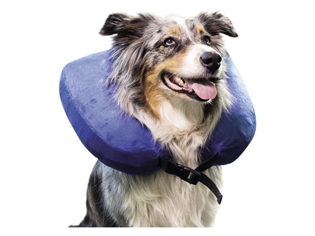 14100 2 nobby limec ochranny nafukovaci 34 5 41 cm z kategorie chovatelske potreby a krmiva pro kocky vitaminy a leciva pro kocky obvazovy material limce pro kocky