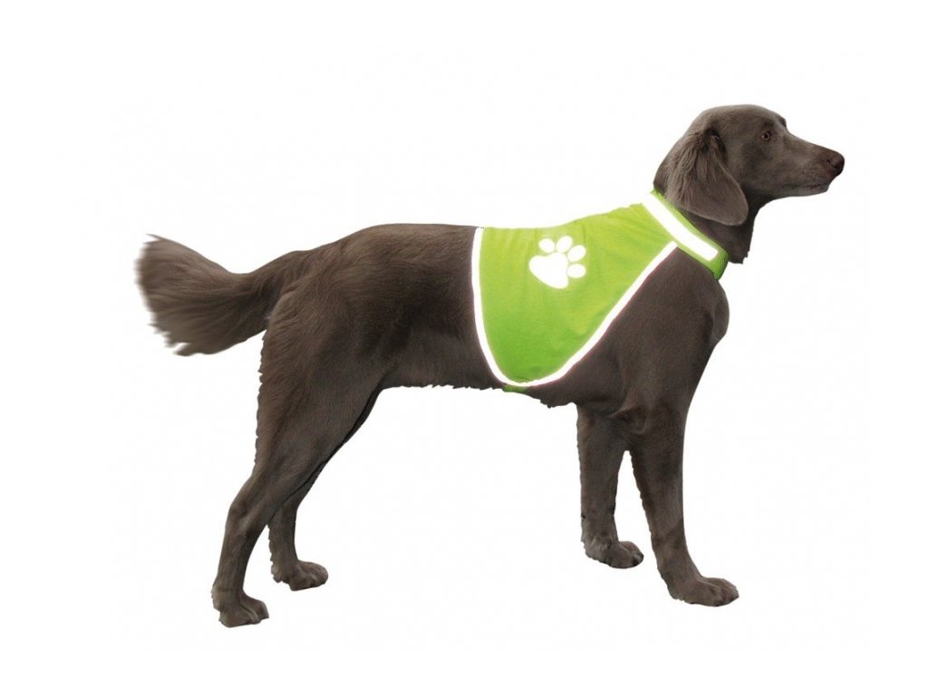 4056 1 nobby reflexni vesta velikost m z kategorie chovatelske potreby a krmiva pro psy doplnky pro vycvik a sport psu behani se psem