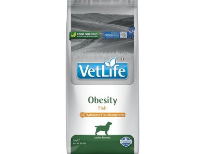 108070 zb026246 1740494683