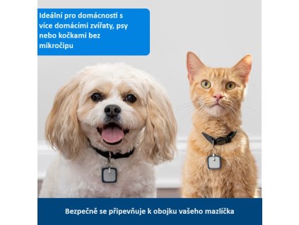 109984 bg zac19 17240 3 1107202415301989799