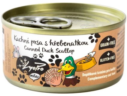 90714 1 kachni prsa s hrebenatkou