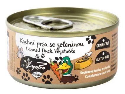 90720 1 kachni prsa se zeleninou