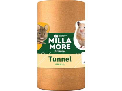 110056 zb016656 1667313696