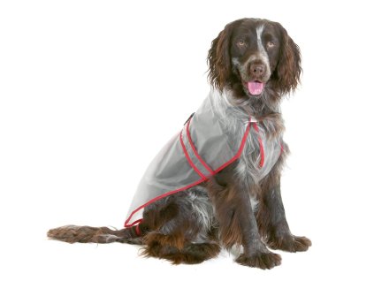 116635 kf 16436 20211109051147 ku5zm4