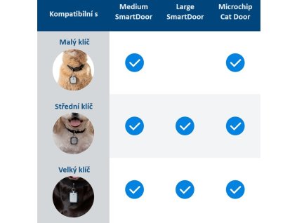 110002 bg zac19 17683 2 1107202415304322813