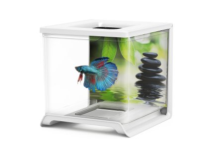 104530 bettarium e 02 bile