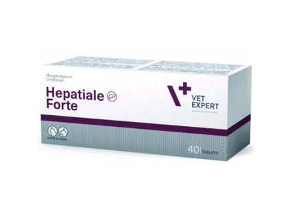 107461 zb011527 1742557956