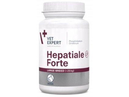 107488 zb011536 1742557957