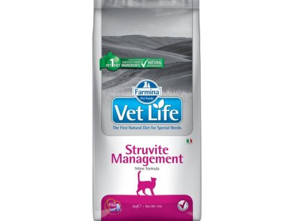 107977 zb005419 1559135776