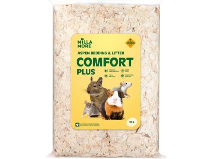 110068 zb025482 1734531311