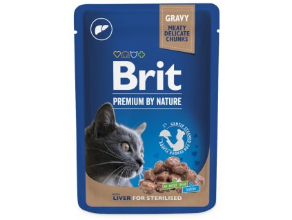 2958 brit ster jatra