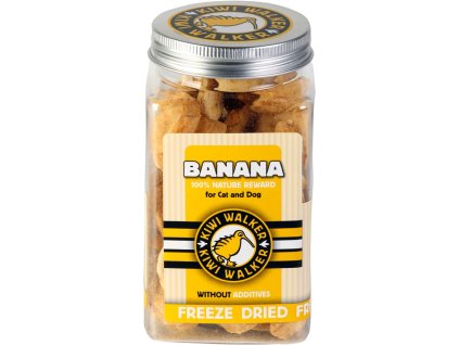 90729 1 133810 pochoutka mrazem suseny banan 70g kiwi