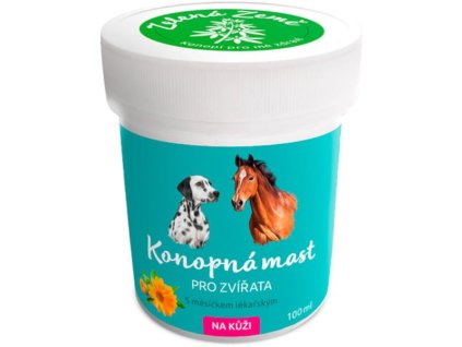 116452 zb024873 1724765816