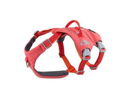 107242 1 postroj hurtta safeguard eco jahodovy