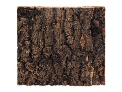 89463 pozadi repti planet korek prirodni 19x17 3x2cm