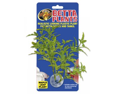 109567 34e73b04 7f4b 4745 9bde 198fa2b90222