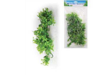 104503 terarijni rostlina uh vel l unionstar
