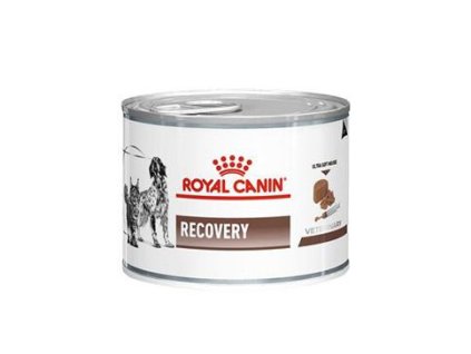 51606 royal canin vd fel can recovery 195g konz