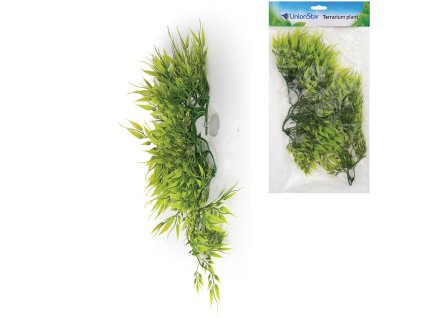 104509 terarijni rostlina uh vel l unionstar