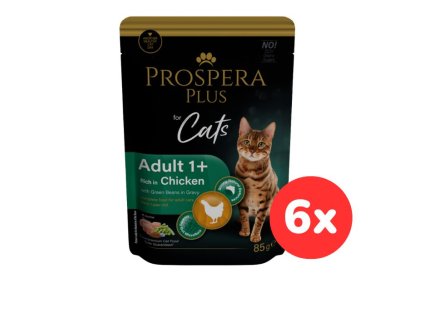 102496 1513 10103 set6