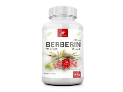109384 1 allnature berberin extrakt 98 500mg 60cps