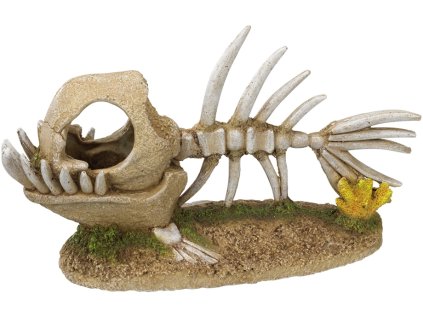 33747 1 nobby akvarijni dekorace rybi kostra 22 8 x 8 5 x 13 cm z kategorie akvaristicke a teraristicke potreby dekorace do akvaria kostry lebky a poklady