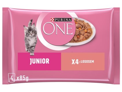 95878 2 purina one multipack junior minifiletky s lososem a mrkvi ve s t a ve 4 x 85 g