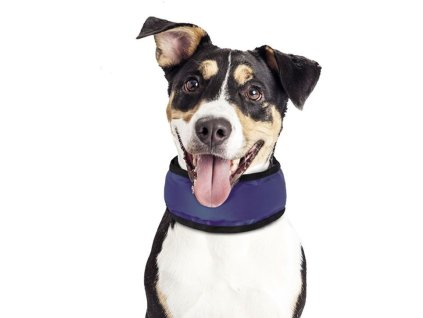 17277 nobby chladici nakrcnik s pro psa 15 25cm