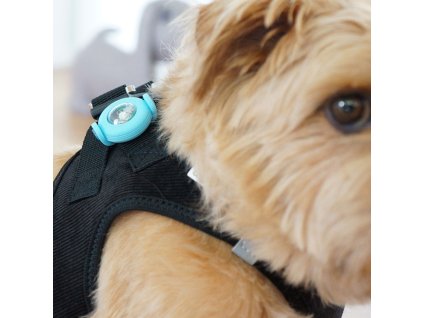 114094 2 curli luumi led bezpecnostni svetelko na obojek white