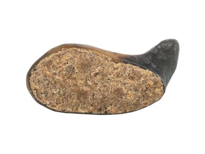 102616 buffalo horn buvoli roh plneny buvoli rohovinou a slachou 10 14 cm