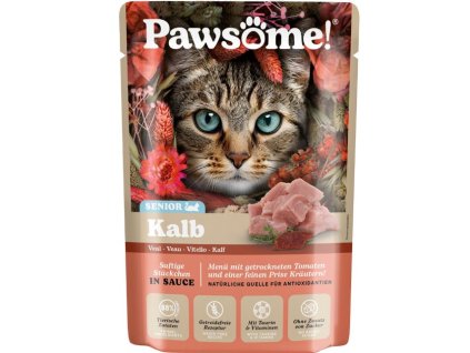 101935 4 pawsome senior ppa 744346