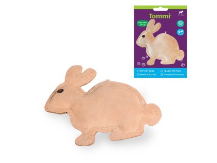 103726 02619 katalog