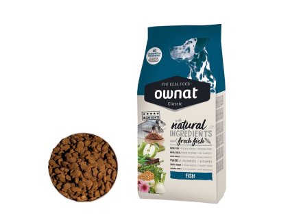 103171 10021 katalog