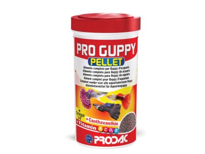 103390 051571 katalog