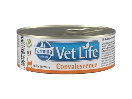 107983 zb005421 1670858554