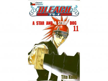 BLEACH 11