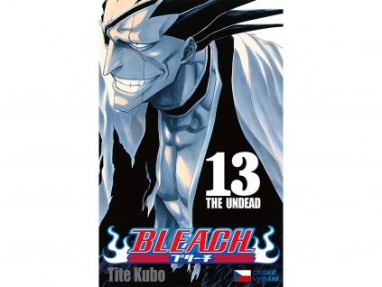 BLEACH 13