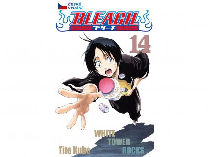 BLEACH 14