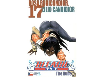 BLEACH 17