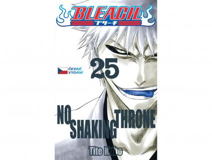 BLEACH 25