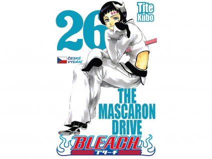 BLEACH 26