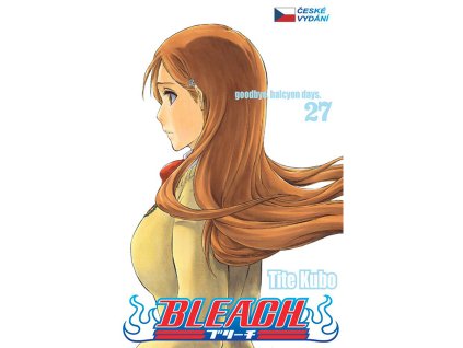 BLEACH 27