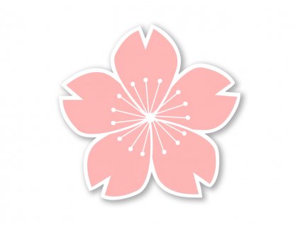 Samolepka Sakura Bloom