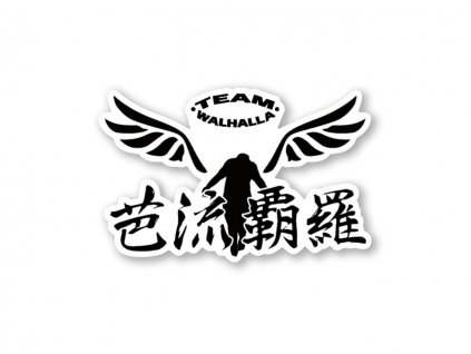 20940 samolepka team walhalla
