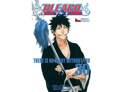 Bleach 1