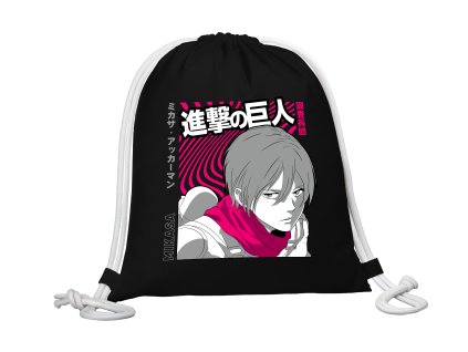 mikasa