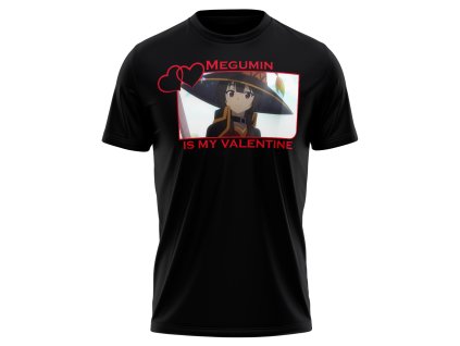 tricka valentyn 0031 Informace kopie 7