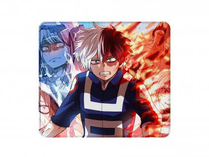 Todoroki (L)