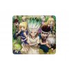 10672 podlozka pod mys dr stone characters l